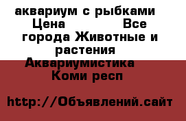 аквариум с рыбками › Цена ­ 15 000 - Все города Животные и растения » Аквариумистика   . Коми респ.